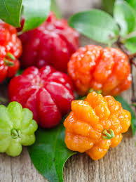 Surinam Cherry (Eugenia uniflora) - 3